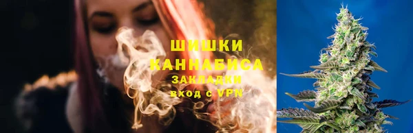 твердый Сатка