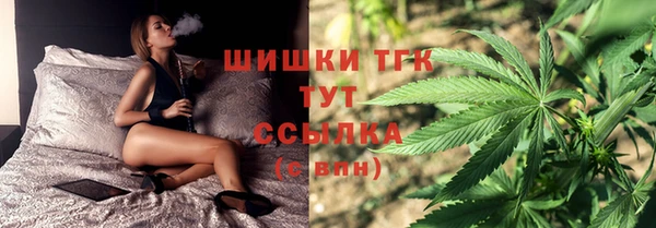 твердый Сатка