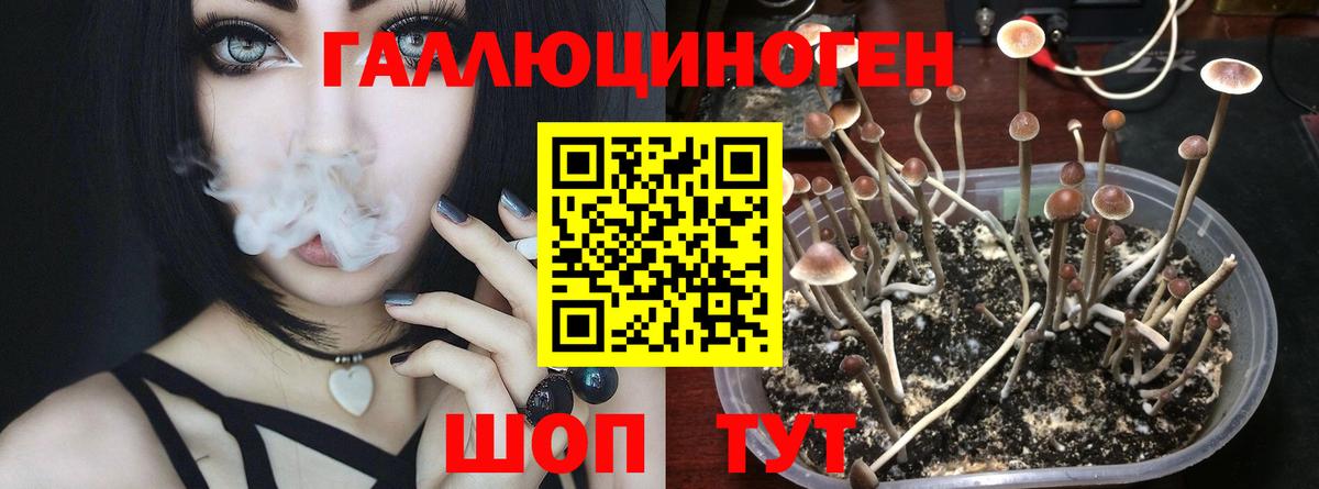 Галлюциногенные грибы Magic Shrooms  Псилоцибиновые грибы мицелий  Вход с VPN  Донецк 
