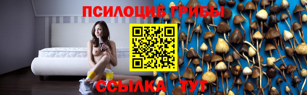 Псилоцибиновые грибы Psilocybine cubensis Донецк